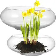 ifundom 2 Pcs Round Glass Fish Bowls Elegant Terrarium Plant Pot for Home Decoration for Goldfish and Hydroponic Plants Space Saving Table Centerpiece