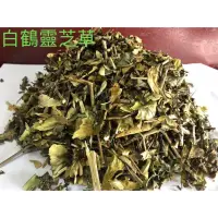 在飛比找蝦皮購物優惠-白鶴靈芝草（又稱：仙鶴草、白鶴草）