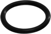391 Viton/FKM O-Ring, 75A Durometer, Black, 22' ID, 22-3/8" OD, 3/16" Width (...