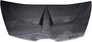 Full Carbon Fiber Front Engine Hood Vent Cover Compatible For Lamborghini Huracan LP610 LP580 1016 Style(Double sided carbon)