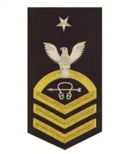 Vanguard NAVY E8 MALE RATING BADGE: SONAR TECHNICIAN - SEAWORTHY GOLD ON BLUE
