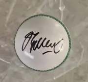 *SIGNED* Jason Gillespie Signed Cricket Ball Australia LEATHER Cricket BALL