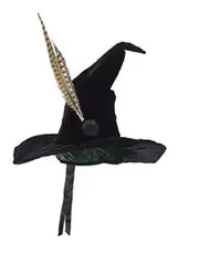 Harry Potter - Professor McGonagall Hat