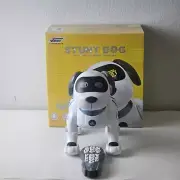 Programmable Smart Remote Controlled Robot Stunt Dog