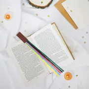 2 Pcs Bookmark Paginator Ribbon Page Markers Marks for Reading Student