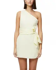 French Connection Birdie One Shoulder Tie Waist Dress