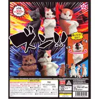 在飛比找蝦皮購物優惠-【Pugkun】日本 YELL 跩貓 臭臉貓 三花貓 貓咪 