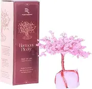 Rose Quartz Crystal Trees for Home Decor, Office Desk Decoration, Chakra Healing Crystals and Stone for Positive Energy, Money, Good Luck, Tree of Life Spiritual Birthday Gifts for Women and Mom