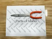 Snap on Tools USA New 9" Stork Needle Nose Pliers Orange 908CF 908CFO