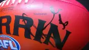 Signed Dane Swan Collingwood Magpies Autograph Red Soft Touch Sherrin Football