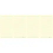 2x Filofax 64-Pages Slim Thin Ruled Notebook Journal Stationery Office Writing