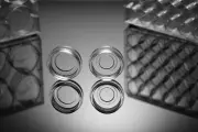 NEST Glass Bottom Cell Culture Dish,Φ 15mm, TC, sterile, 200/case