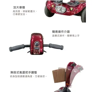 【免運】必翔 TE-889DXD 電動代步車 雙人座 電動 代步車 電動車 電動代步車 SHOPRIDER