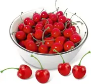 Wild Tribe 100Pcs Christmas Fake Red Cherries Fruit Cherry for Faux Sundae and C
