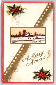c1910s Merry Christmas Mistletoe Wishes Decor Embossed Antique Postcard