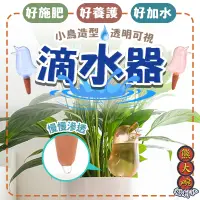 在飛比找蝦皮購物優惠-小鳥滴水器 小鳥澆花器 自動給水器 自動澆花器 定時澆水 自