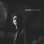 What We Bring (Bonus Track) -Bruce Wendel CD