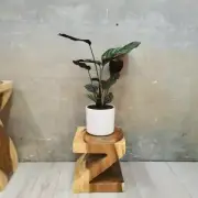 MANGO TREE"Z" Shape 25cm Plant Stand/Stool/Side Table/Corner Table
