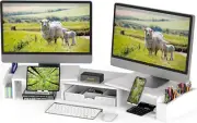 Simple House Ware Dual Monitor Stand Riser with Drawer White