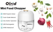Electric Mini Garlic Chopper, Olrid Mini Chopper Food Processor 250ml.