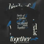 Vintage Billie Eilish Birds of A Feather Hit Me Hard and Soft Album, Unisex Tee