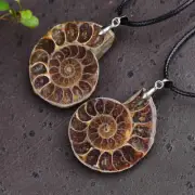 Natural Conch Fossil Shell Necklace Quartz Crystal Pendant Healing Stone Charms