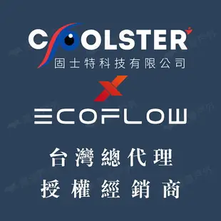 【EcoFlow】Delta 2 戶外儲能電源 EFD330 移動電源 電池 戶外電源 停電應急 輕量 露營 悠遊戶外