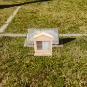 Pet Urn Commemorative Box Dog Memorial Cremation Tank Ash Wooden