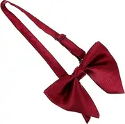 [WESIEVYA] Men' Pre Tied Bow Tie Stylish Double Layer Polyester Bowtie for Weddings Formal Events and Tuxedos Groom Accessory