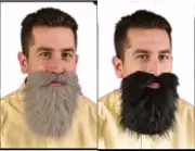 Bushy Mustache and Beard Set