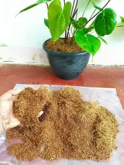 Coconut Coir Peat Coir Hydroponic100% Natural Organic Coco Peat free shipping