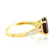9ct Yellow Gold 3.10 Carat Garnet and 14 Diamonds Dress Ring, R