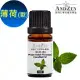 ANDZEN天然草本單方純精油10ml-薄荷