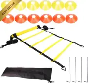 18Pcs Pro Agility Ladder Set, 6M Speed Ladder, 12 Cones, 4 Ground Anchors, Carry