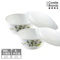 在飛比找蝦皮商城優惠-【美國康寧 CORELLE】綠野微風4件式麵碗組 (D03)