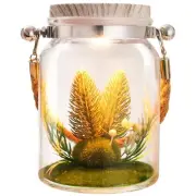 Birthday Gifts Mason Jar Flower in Bottle with Light , Decorative Hanging Bottle