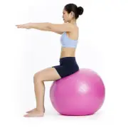 Appleround Fitness Ball - Size 26 in / 65 cm Diameter - Pink Fuchsia Exercise