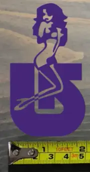 Burton Snowboards Sticker Decal Lady Bindings Boots Jacket Custom Cartel Purple