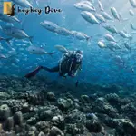 【HEYHEYDIVE】台灣小琉球 HEYHEYDIVE水肺潛水體驗 一對一教學免潛水證照