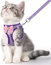Cat Vest Harness and Leash Set for Walking Escape Proof, Adjustable Kitten Harness Breathable Mesh with Reflective Strips Harness for Kitty Puppy Bunny（Purple,M）