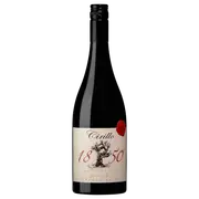 2017 Cirillo 1850 Grenache | The Wine Collective