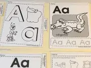Learning Resource - Preschool WORKSHEETS 300+ pgs Letters & Numbers Sets