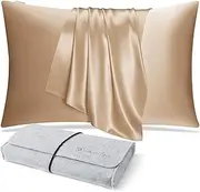 DISANGNI 100% Natural Mulberry Silk Pillow case for Hair and Skin with Hidden Zipper 22 Momme Both Sides Real Silk Pillow Case (1pc Standard Size 20" x26", Gold)