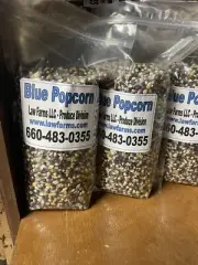 Blue Butterfly Popcorn Kernels, Non-GMO (6# Total