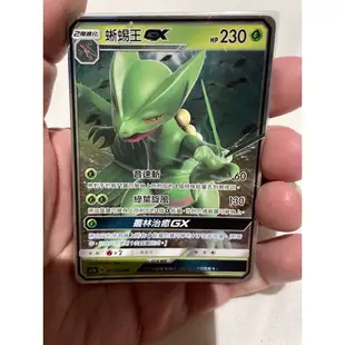 Ptcg 寶可夢 蜥蜴王 GX RR