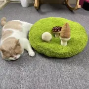 Cat Bed Comfortable Non Slip Cushion Mushroom Decor for Poodle Dogs Kitten
