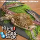 【海陸管家】活凍特大隻藍花蟹8隻(每隻400-450g)