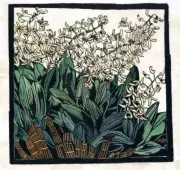 Rock Lily : Margaret Preston : 1933 : Art Print