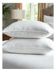 [Royal Comfort] 1000GSM Goose Feather and Down Pillows Twin Pack in White
