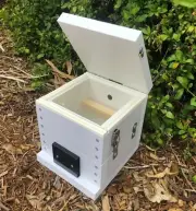 Stingless Native Bees Hive OATH Mini BeeHive Tetragonula Viewing